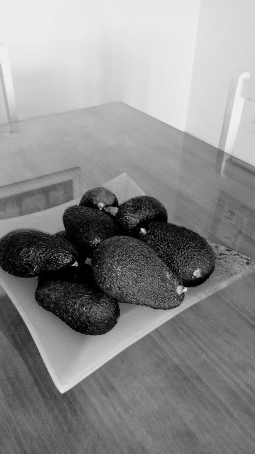 Apartamento Centro De 네르하 외부 사진